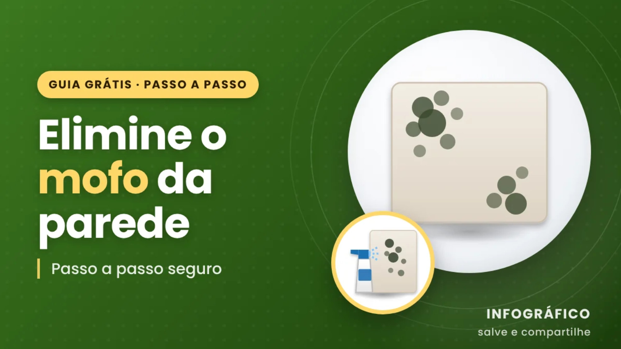 Como Eliminar Mofo e Bolor da Parede - Pintor São Carlos